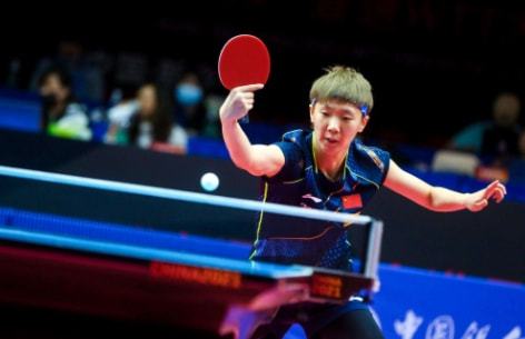 树的本土之 树的本土之